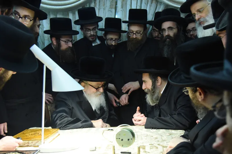 סקויירא צילום משה גולדטיין (14)