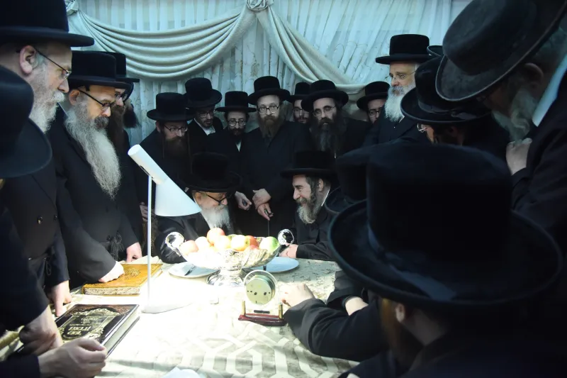 סקויירא צילום משה גולדטיין (15)