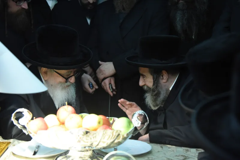 סקויירא צילום משה גולדטיין (16)