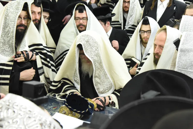 סקויירא צילום משה גולדטיין (24)