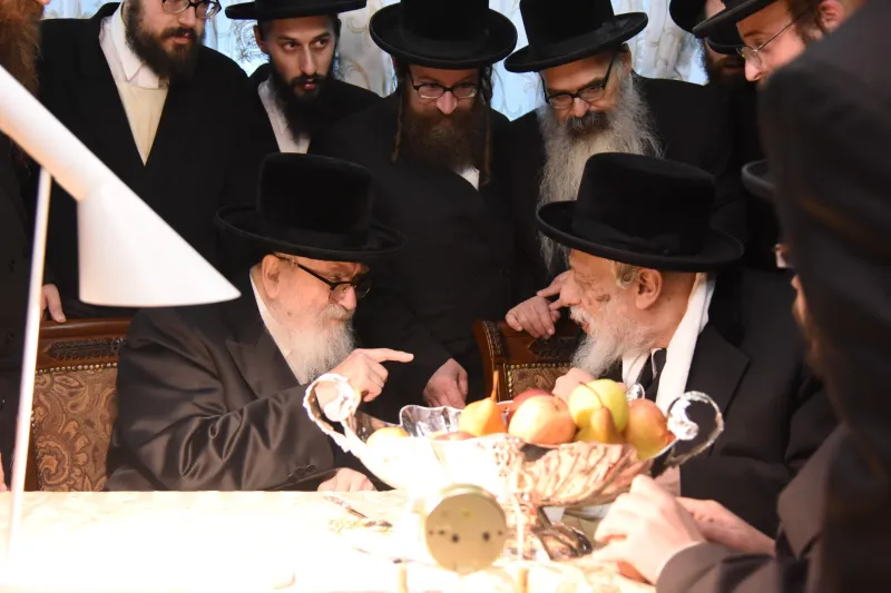 סקויירא צילום משה גולדטיין (8)