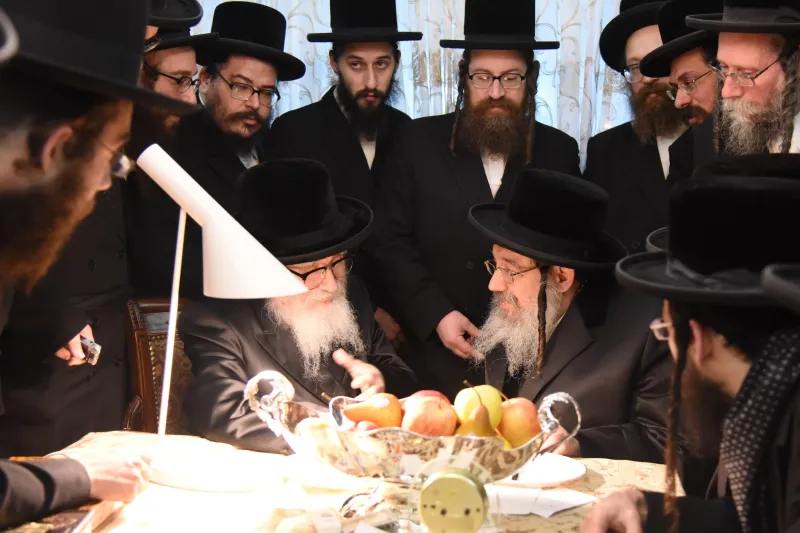 סקויירא צילום משה גולדטיין (9)