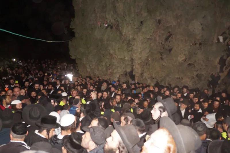צילום אתר ברסלב סיטי (101)