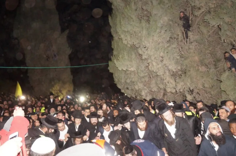 צילום אתר ברסלב סיטי (115)