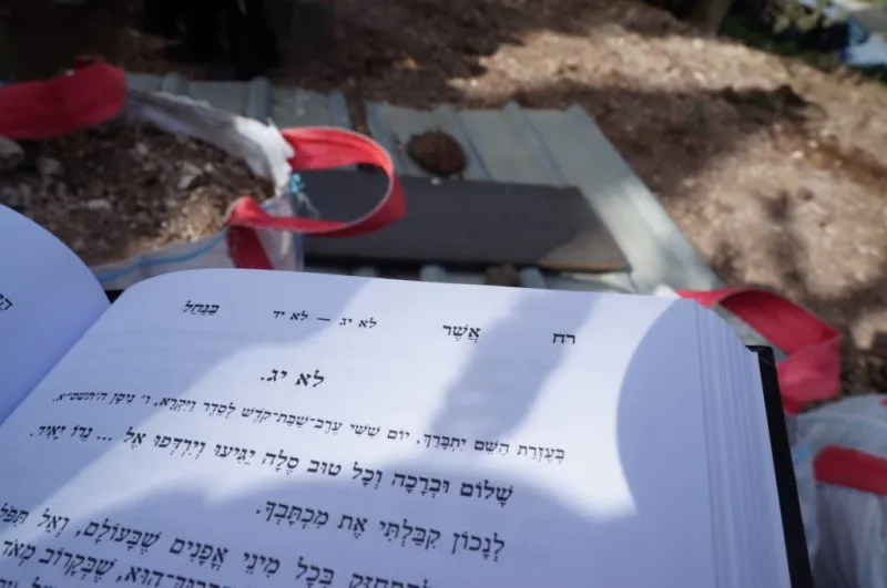 צילום אתר ברסלב סיטי (8)