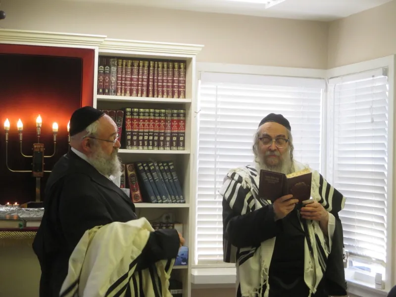 צילום יוסי גאלדבערגער סאטמר נופש (1)