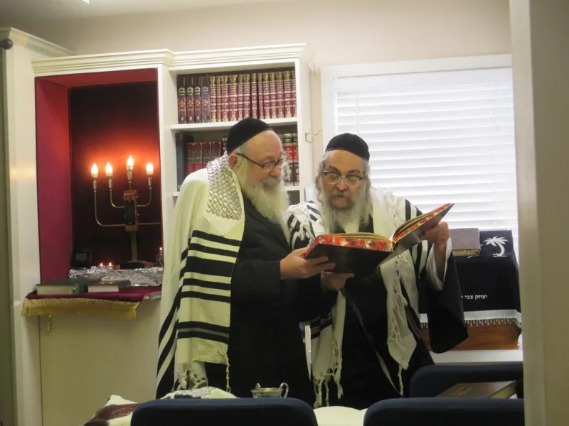 צילום יוסי גאלדבערגער סאטמר נופש (10)