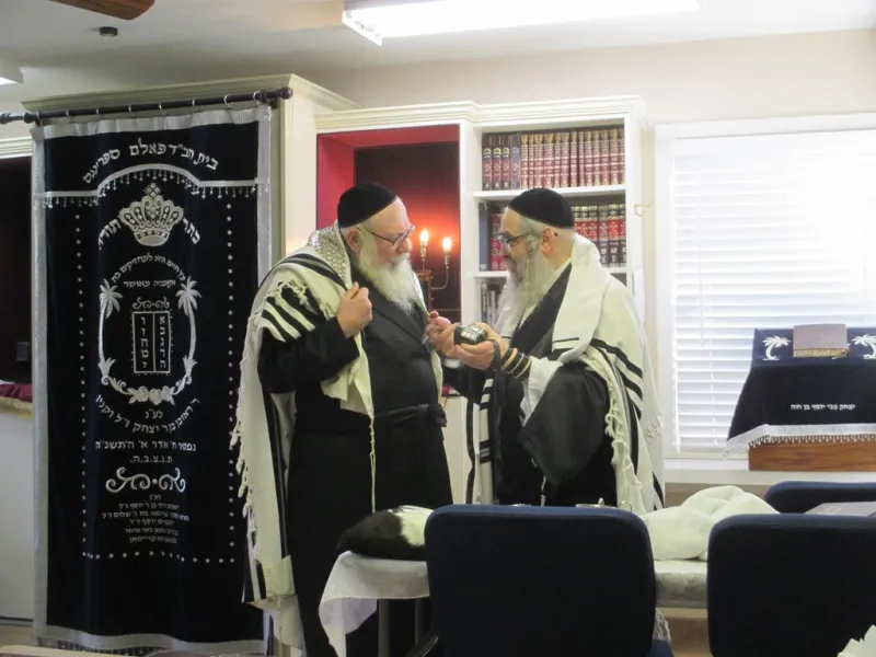 צילום יוסי גאלדבערגער סאטמר נופש (2)