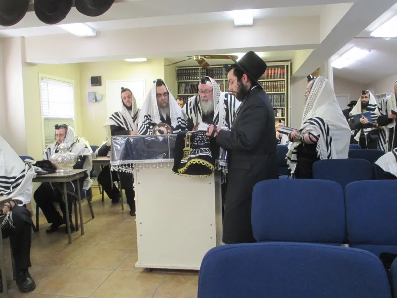 צילום יוסי גאלדבערגער סאטמר נופש (7)