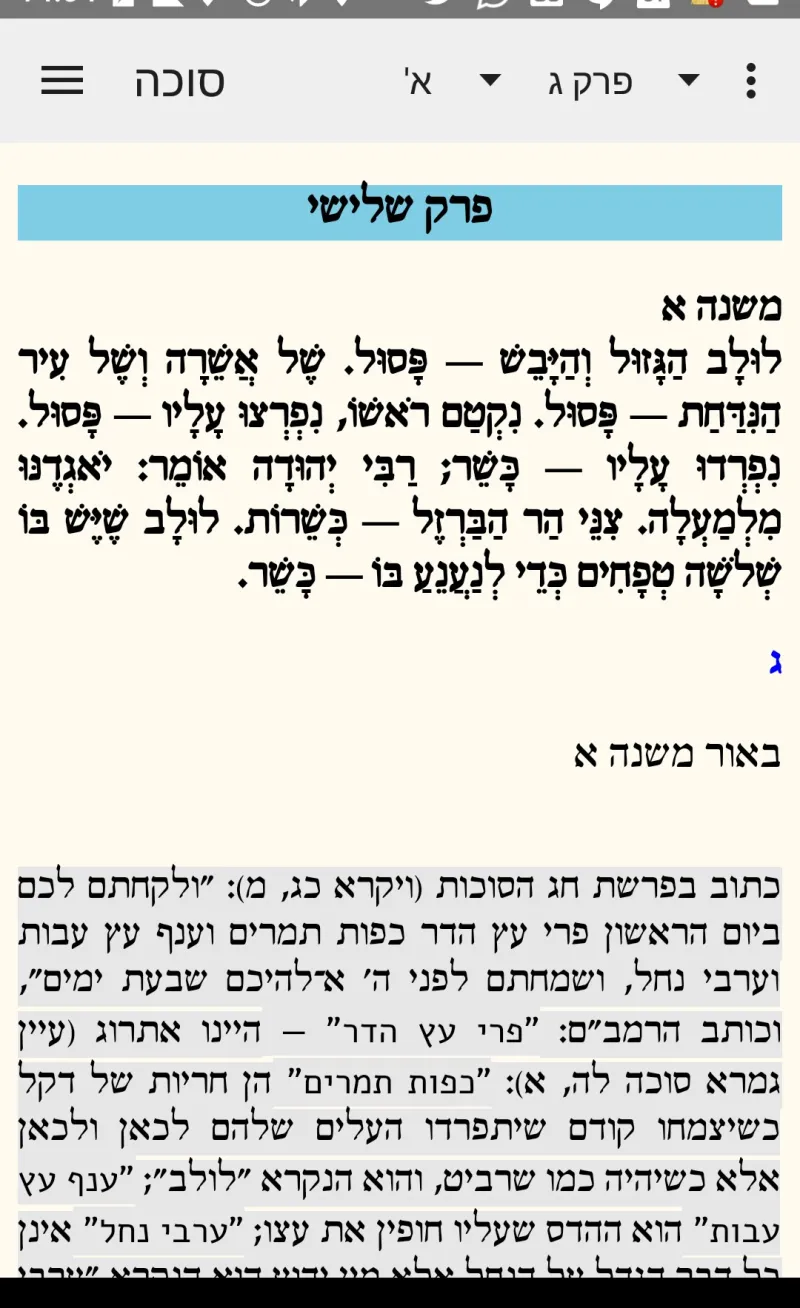 צילומסך - משנה
