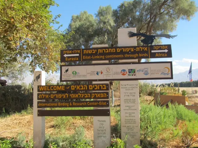 צפרות