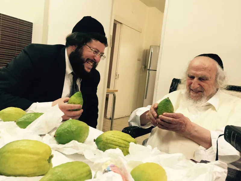 ראש כולל ראש ישבה (1)