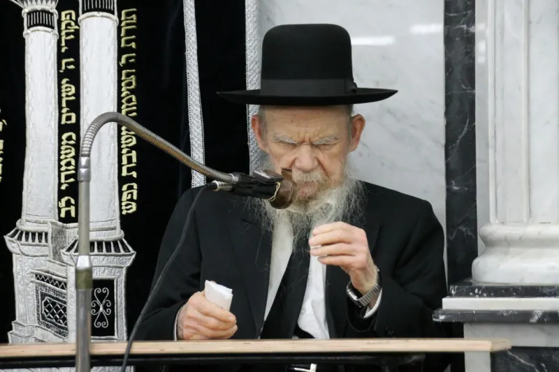 רבי גרשון אידלשטיין בעריש פילמר (3)