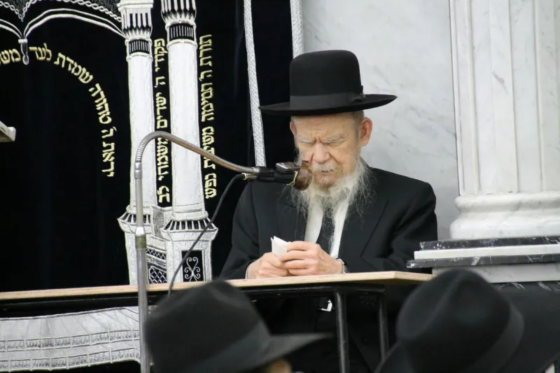 רבי גרשון אידלשטיין בעריש פילמר (4)