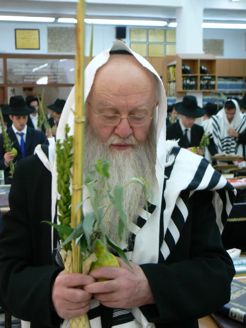 רבי רפאל שמואלביץ (סוכות)