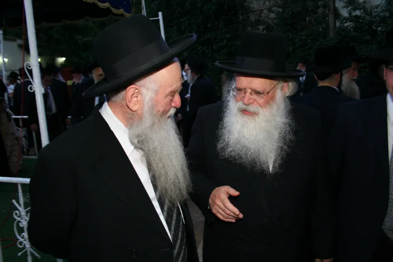 רבי רפאל שמואלביץ (רבי דב יפה
