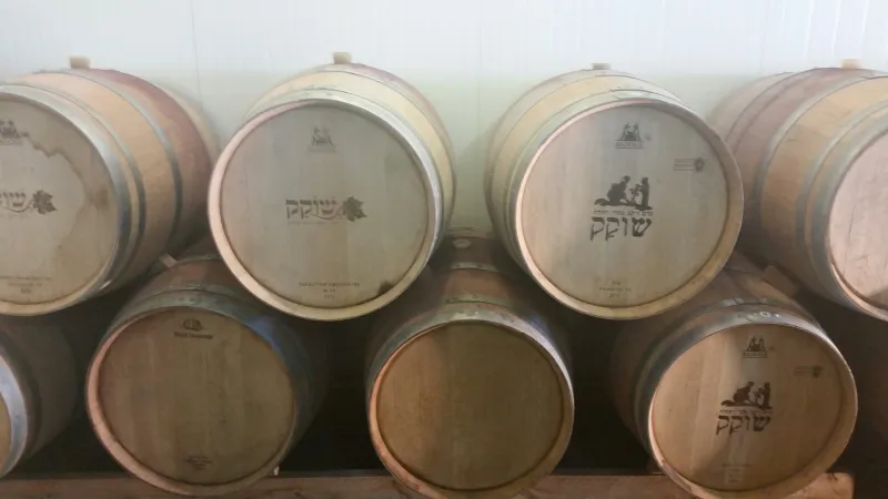 שוקק