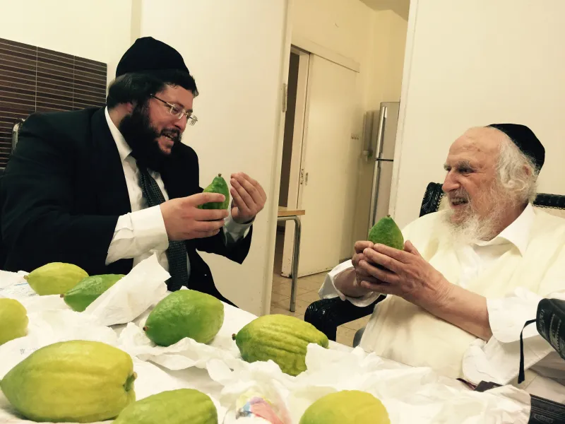 תמונה אתרוגים - עותק