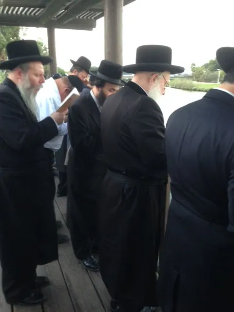 תמונה 1 (12)