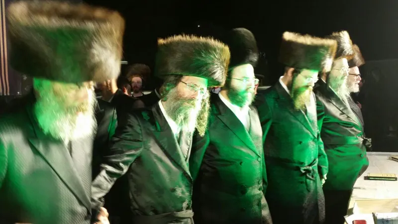תמונה 1 (19)