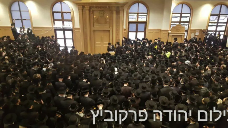תמונה 1 (2)