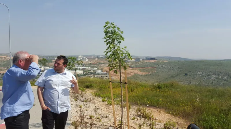 תמונה 1 (28)