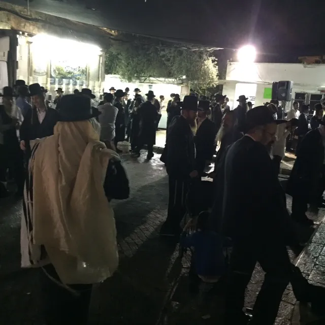 תמונה 1 (33)