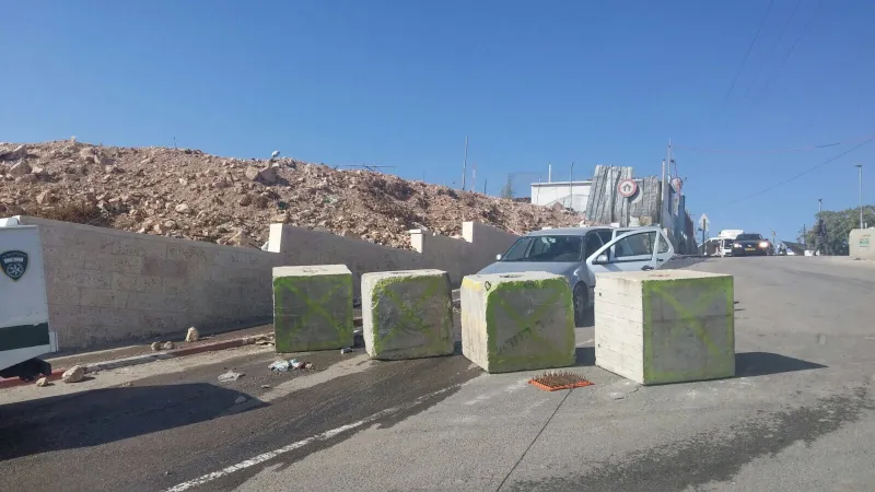 תמונה 1 (40)