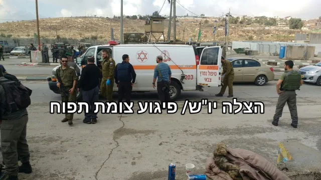 תמונה 1 (46)