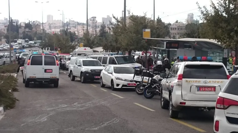 תמונה 1 (49)