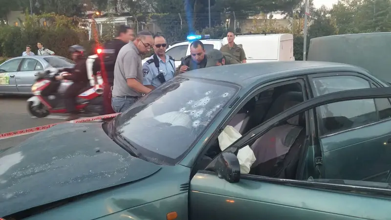 תמונה 1 (7)
