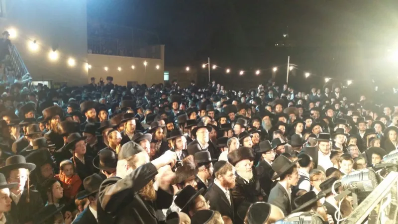 תמונה 2 (19)