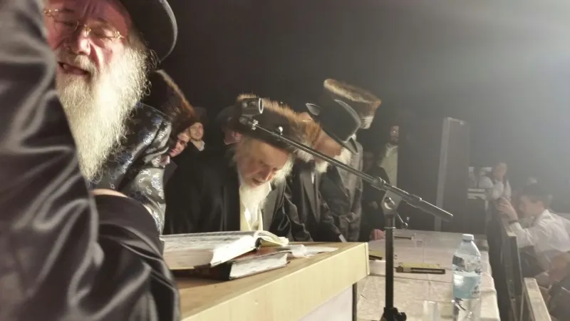 תמונה 2 (21)