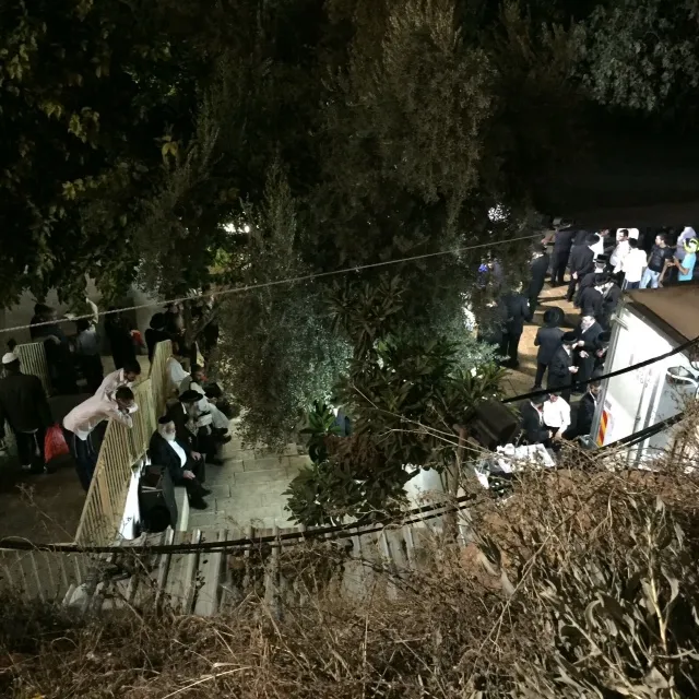 תמונה 2 (32)
