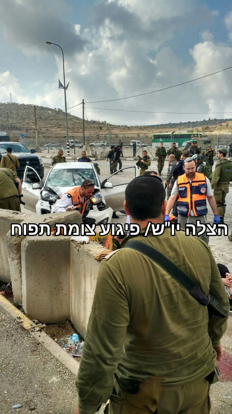 תמונה 2 (44)