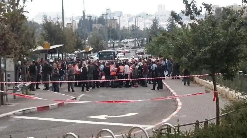 תמונה 2 (46)