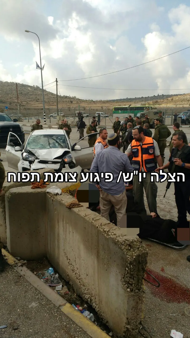 תמונה 3 (34)