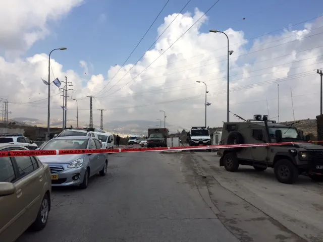תמונה 3 (35)