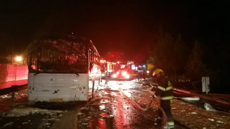 תמונה 3 (39)