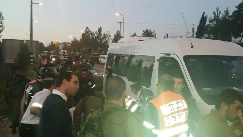 תמונה 3 (7)