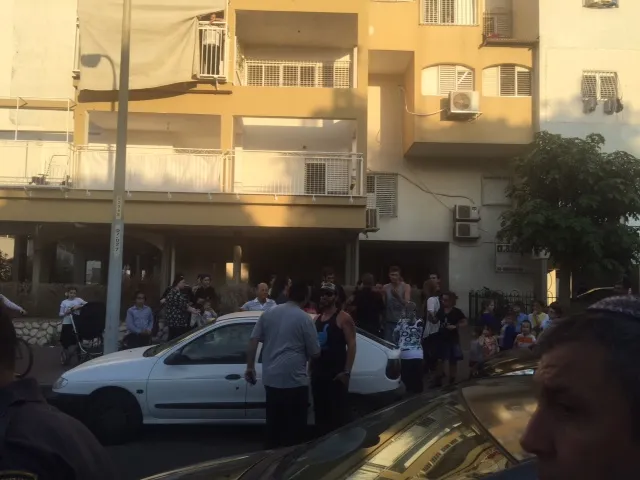 תמונה 3 (8)