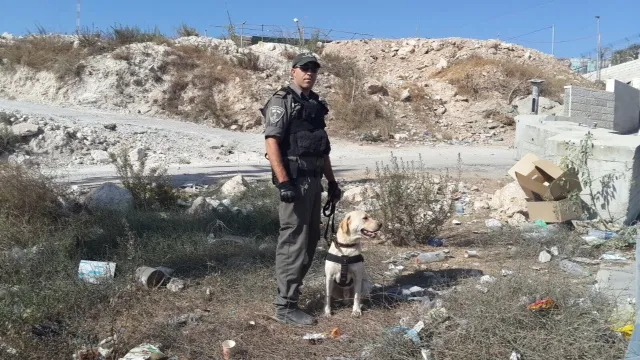 תמונה 4 (23)