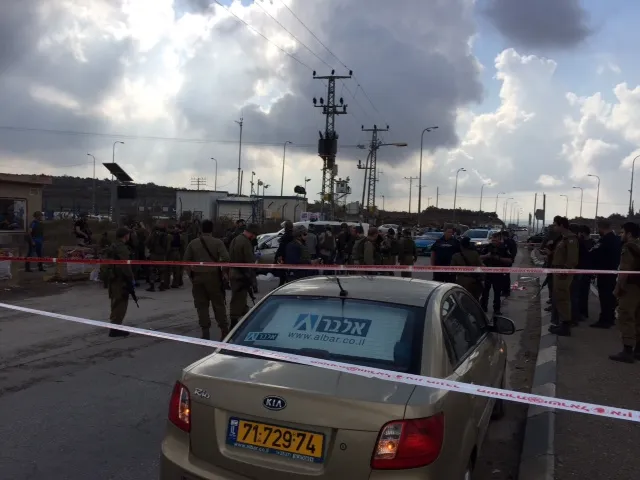 תמונה 4 (24)