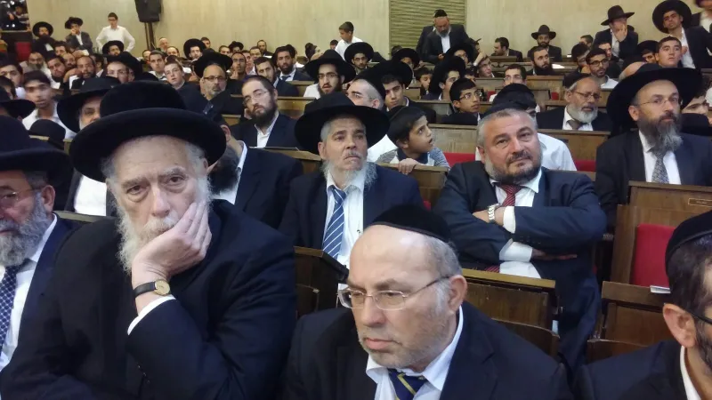 תמונה 5 (15)