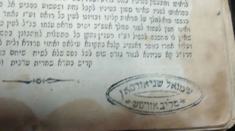 תמונה (8)