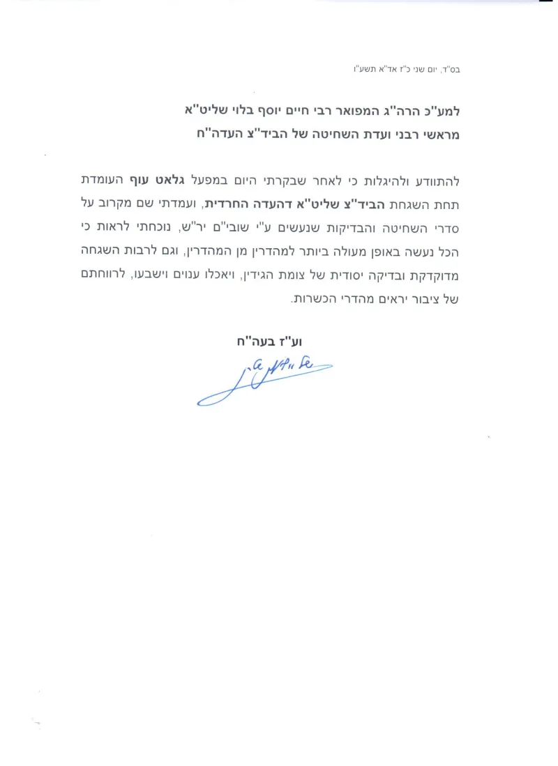 תמיכת הגרשא שטרן