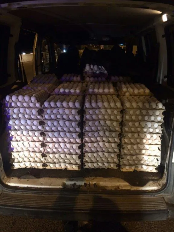 תפיסת ביצים מוברחות באזור עפולה2_סמי אבו חאלה