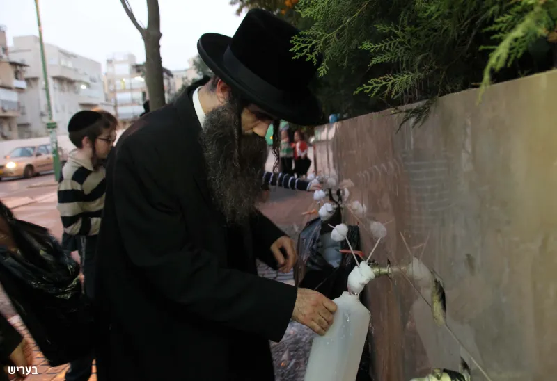 סקווירא כותל המערבי