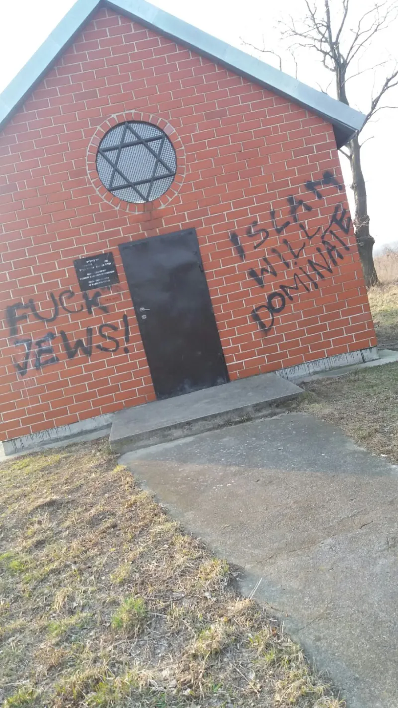 תמונה 1