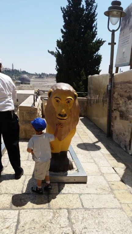 העיר העתיקה ירושלים